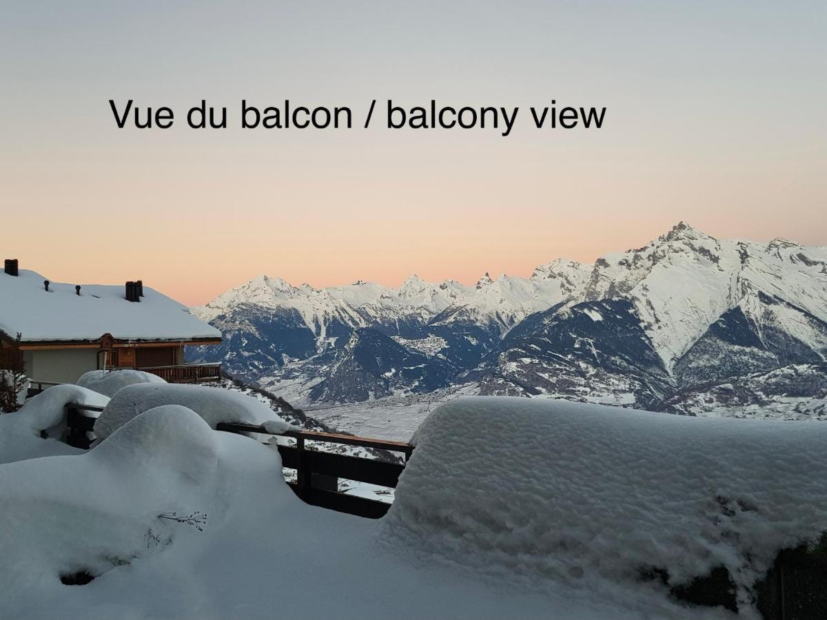 Studios Bellevue 1 Et 2, Ski Lift 150M 维松纳 外观 照片