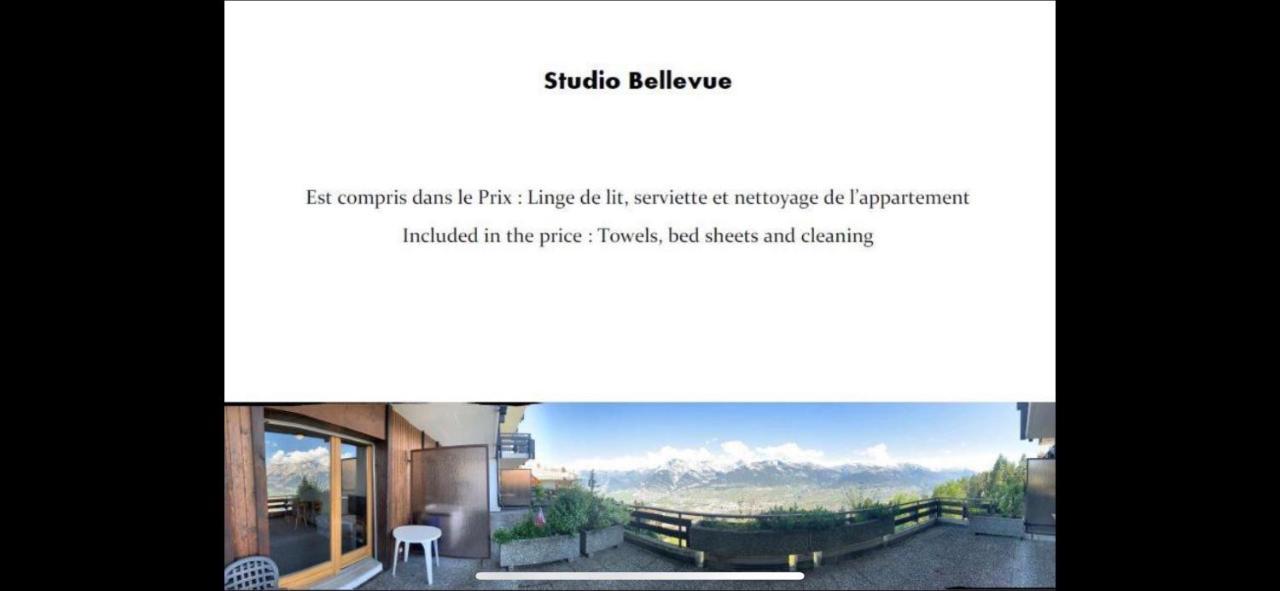 Studios Bellevue 1 Et 2, Ski Lift 150M 维松纳 外观 照片