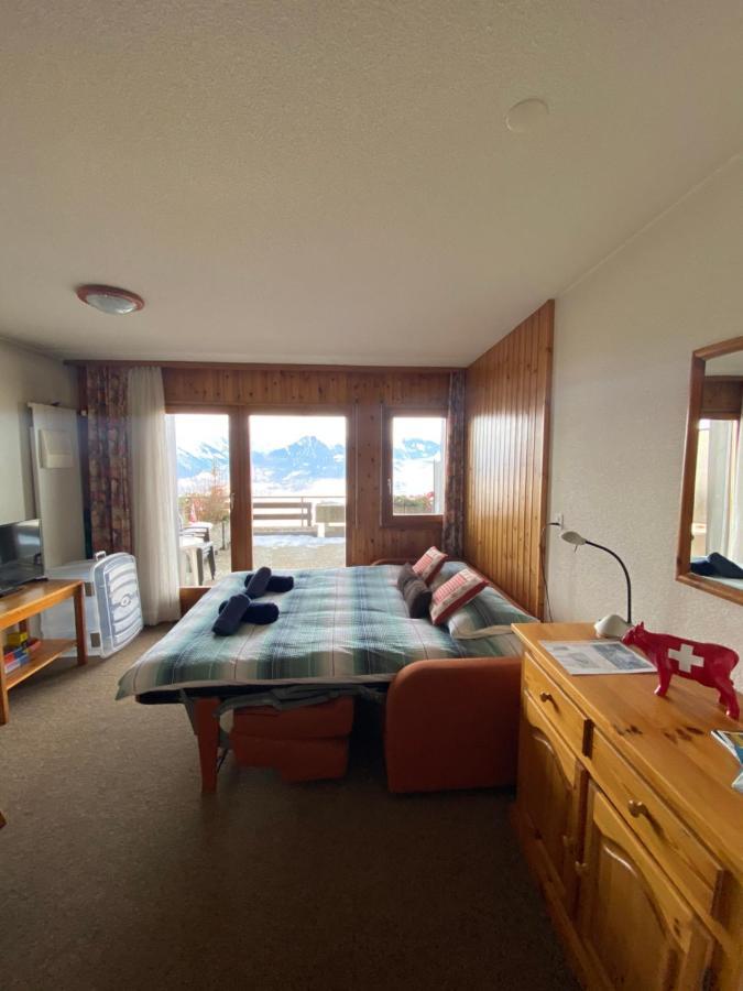 Studios Bellevue 1 Et 2, Ski Lift 150M 维松纳 外观 照片